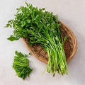 Domestic Cheongdo Water Dropwort , 200 g, 1 Pack (국내산 청도미나리, 200g, 1개)