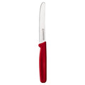 Bagensyutageo Stainless Topni , Red , 1 Pack (바겐슈타이거 스텐 톱니과도, 레드, 1개)