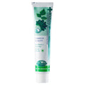 Dentiseute Peulreoseu White Chiyak , 200 g, 1 Pack , 1 Pack (덴티스테 플러스 치약)