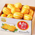Heukmi 11 brix Watermelon , 5 kg Sang , 1 Pack (성주 가정용 실속 참외, 5kg, 1박스)