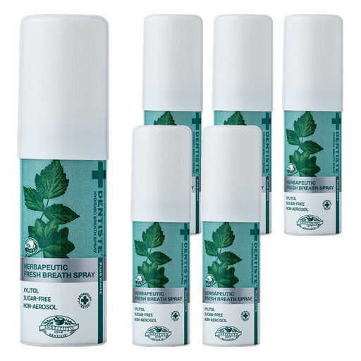 Dentiseute Beureseu Gugangseupeure , 15 ml, 6 Pack (덴티스테 브레스 구강스프레)