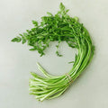 Suncheon Water Dropwort , 200 g, 1 Pack (순천 미나리, 200g, 1개)