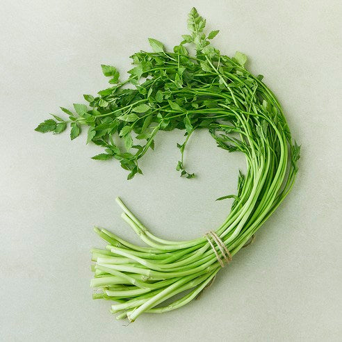 Suncheon Water Dropwort , 200 g, 1 Pack (순천 미나리, 200g, 1개)