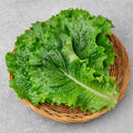 GAP Kki Green Lettuce , 80 g, 1 Pack (GAP 한끼 청상추, 80g, 1개)
