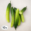 Domestic Baek Cucumber , 5 Pack , 2 Pack (백)