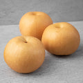 GuamPick Cheonan Sweetness Seonbyeol Singo Pear , 1.8 kg( Dae ), 1 Pack (곰곰 천안 당도선별 신고 배, 1.8kg(대과), 1개)