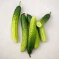 Domestic Baek Cucumber , 5 Pack , 1 Pack (백)