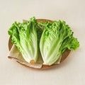 Eco-friendly Packets Gi Romaine , 300 g, 1 Pack (친환경 포기로메인, 300g, 1개)