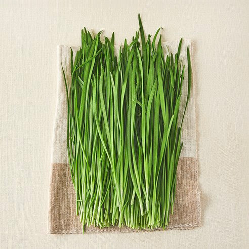 Domestic Pesticide-free Korean Chive , 300 g, 1 Pack (국내산 무농약 부추, 300g, 1개)