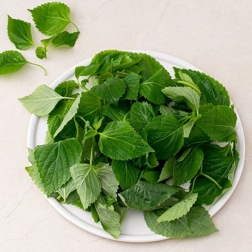 Domestic GAP Chubukkaetsun , 200 g, 1 Pack (국내산 GAP 추부깻순, 200g, 1개)