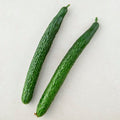 Domestic Si Cucumber , 2 Pack , 1 Pack (시)