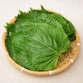 Pack Miryang Perilla Leaves , 100 g, 1 Pack ([팩] 밀양 깻잎, 100g, 1팩)