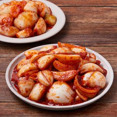 Mosan Kimchi Gatdamgeun Changnyeong Onion Kimchi , 1 kg, 1 Pack (모산김치 갓담근 창녕양파 김치, 1kg, 1개)