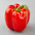 Ppalgang Bell Pepper , 1 Pack , 1 Pack (빨강)