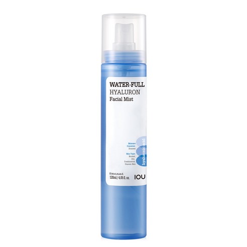 Aoyu Hyaluronic Acid Moisture Mist Eolgul Mist , 1 Pack , 120 ml (아이오유 히알루론산 수분미스트 얼굴미스트, 1개, 120ml)