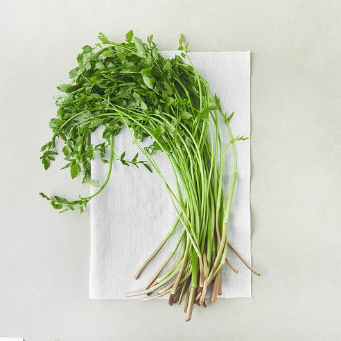 Cheongdo Water Dropwort , 500 g, 1 Bag (청도 미나리, 500g, 1봉)