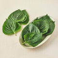 Organic Perilla Leaves , 50 g, 1 Pack (유기농 깻잎, 50g, 1팩)