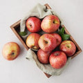 Imperfect Apple , 1.5 kg( So , 8~10 Pack ), 1 Pack (못난이 사과, 1.5kg(소과, 8~10입), 1개)