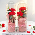 Eobeonal Seuseungnal Song Binukkot Kasyeon , Red , 2 Pack (어버날 스승날 송 비누꽃 카션)