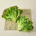 Eco-friendly Packets Gisangchu , 250 g, 1 Pack (친환경 포기상추, 250g, 1개)