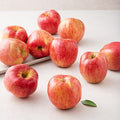 Nonghyup Daily Apple , 1 kg(5~7 Pack ), 1 Pack (가족 못난이 사과, 2kg(랜덤과), 1개)