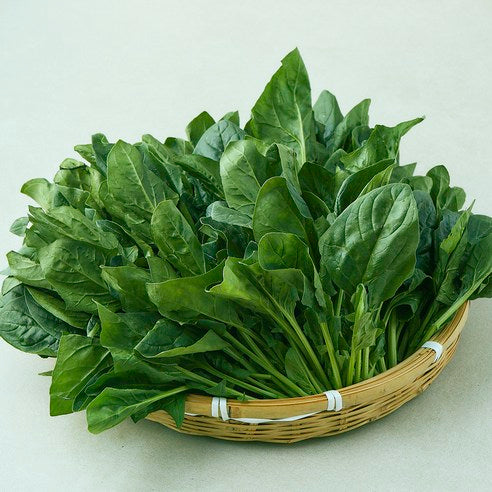 Domestic Yeongdeok Sigeumchi , 600 g, 1 Pack (국내산 영덕 시금치, 600g, 1개)