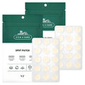 Beutikoseumetik Sika Spot Paechi , 48 Pack , 2 Pack (브이티코스메틱 시카 스팟 패치, 48개입, 2개)