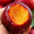 Yeokdae Grade Halin 100 Box Jeong Jeuptoktok 13 brix Daeseok Plum , 1 Pack , 300 g ([역대급할인] 100박스한정 과즙톡톡 13brix 대석자두, 1개, 300g)