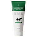 Peuraep Ti Cheongso Acne Foam Cleansing , 150 ml, 1 Pack (와프랩 티 청소년 여드름 폼 클렌징, 150ml, 1개)