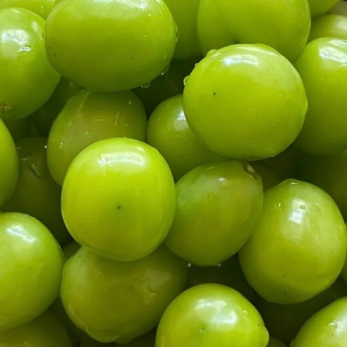 High Sweetness Aepeulcheong Grape Eoteomkeuriseupi Crunchy Dalkom Ssieops Otomkeuriseupi , 1 Pack , Dalkom Aepeulcheong Grape 500 G ([고당도] 애플청포도 어텀크리스피 아삭달콤 씨없는 오톰크리스피, 1개, 달콤 애플청포도 500G)