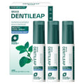 2080 Dentiripeu Mauseu Cool Gugangseupeure 3 p, 30 ml, 1 Pack (덴티리프 마우스 구강스프레)