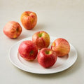 Nonghyup Daily Apple , 1 kg(5~7 Pack ), 1 Pack (당찬 못난이 사과, 1개, 1.3kg(중과, 4~6입))