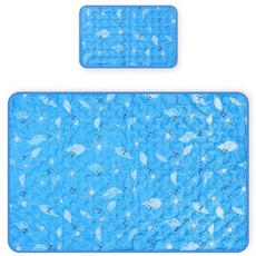 Asso Cool Sheets Teu Yeoreum Ice Chimdae Cool Sheets Teu , Ice Junghyeong ( Sheets Teu 1+ Be Pack 1) (아쏘 쿨매트 여름 아이스 침대쿨매트, 아이스 중형(매트1+베개1))